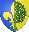 Mantes-la-Jolie