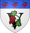 VIGNIEU