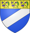 VIZOS