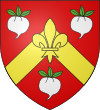 Rabastens-de-Bigorre