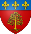 Castelnau de brassac
