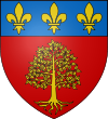 Castelnau de Brassac